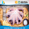 wholesale frozen seafood live fresh frozen octopus price for sale